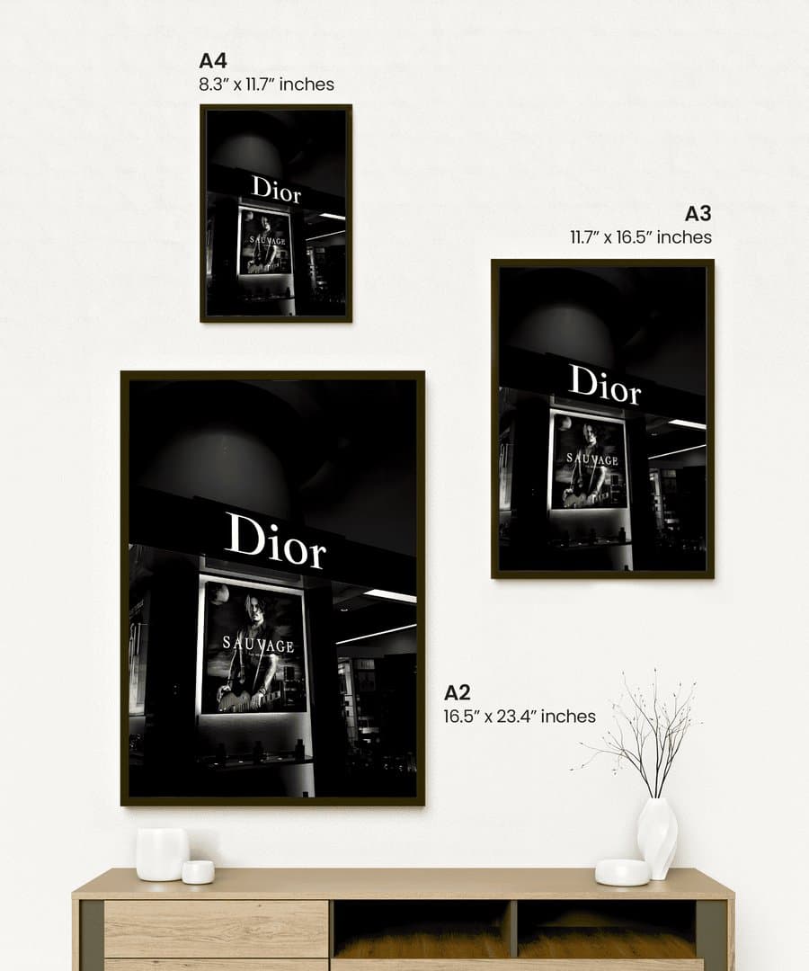 Dior Aesthetic (Black & White Aesthetic) Frame & Poster | HD Acrylic Black & White Aesthetic Wall Decor for Home & Office | Wall Ready Design Frames & Posters 2